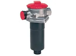 An scagaire ola fillte